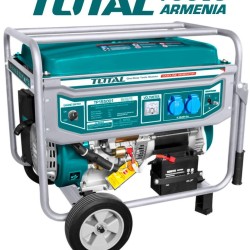 Gasoline generator (Starter) 5500 W   