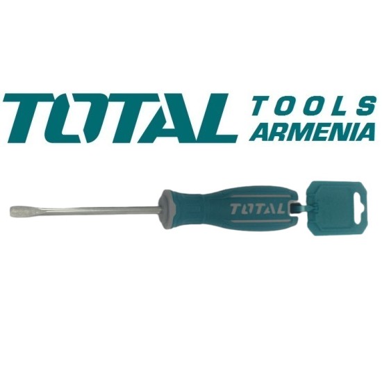 Screwdriver SL6. 5x100mm