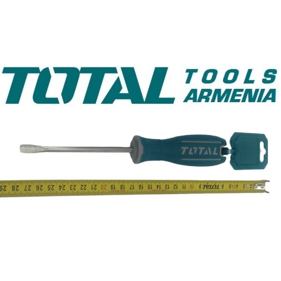 Screwdriver SL6. 5x100mm