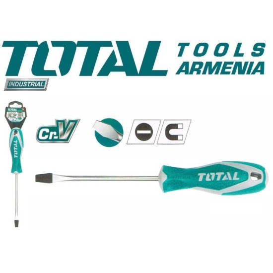 Slotted screwdriver ﻿﻿﻿SL 4x100 mm
