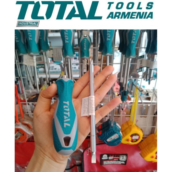 Screwdriver Twin Head PH1+SL5/135mm Screwdriver Twin Head PH1+SL5/135mm