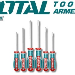 Screwdriver Set 6 Pcs