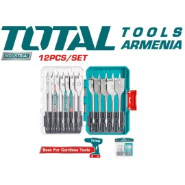 Հարթ գայլիկոնների հավաքածու 12 կտոր