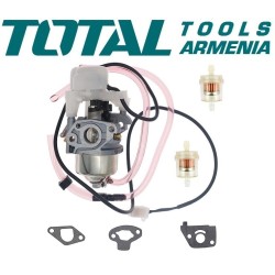 Carburetor complex (for Gasoline generator TP175006)
