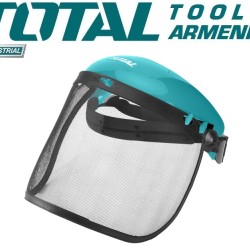 Mesh visor
