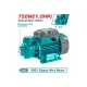Peripheral Water Pump 750 W Peripheral Water Pump 750 W